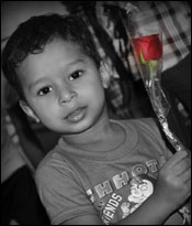 Rose Day 2012